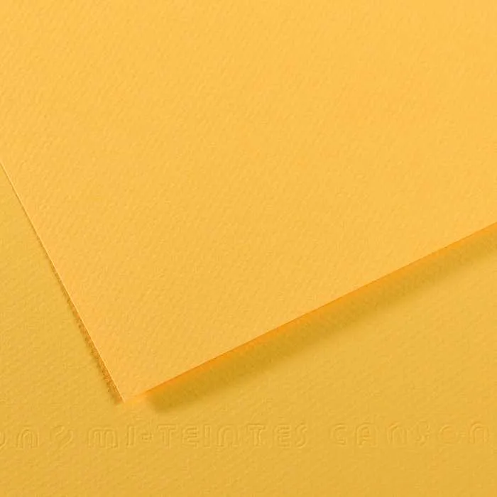 Canson Mi-Teintes carta per pastello A4 160 g/m² 25 fogli