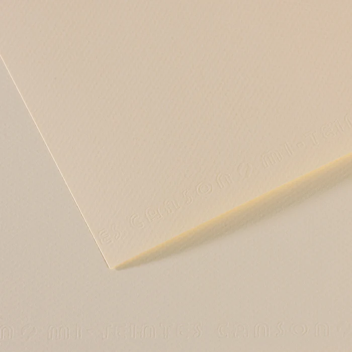 Canson Mi-Teintes carta per pastello A4 160 g/m² 25 fogli