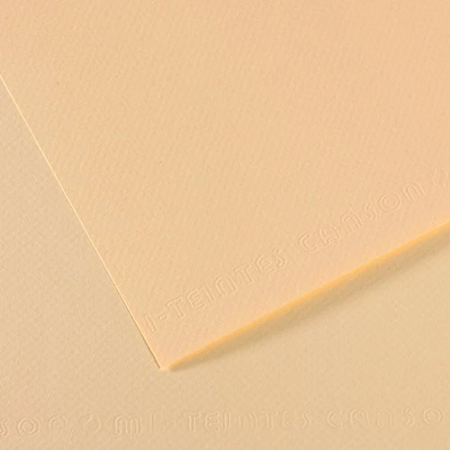 Canson Mi-Teintes papir za pastel A3 160 g 25 listova