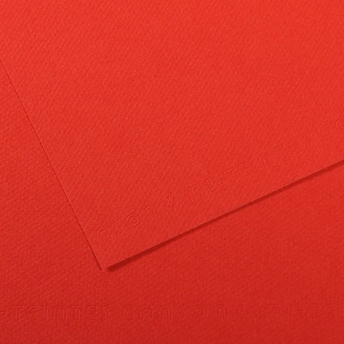 Canson Mi-Teintes carta per pastello A3 160 g 25 fogli