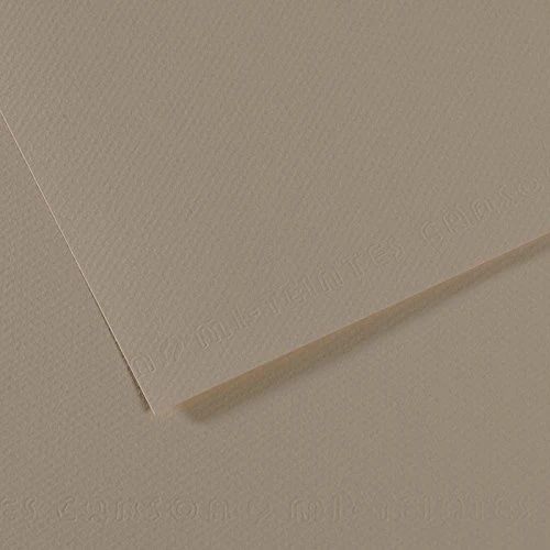 Canson Mi-Teintes carta per pastello A3 160 g 25 fogli
