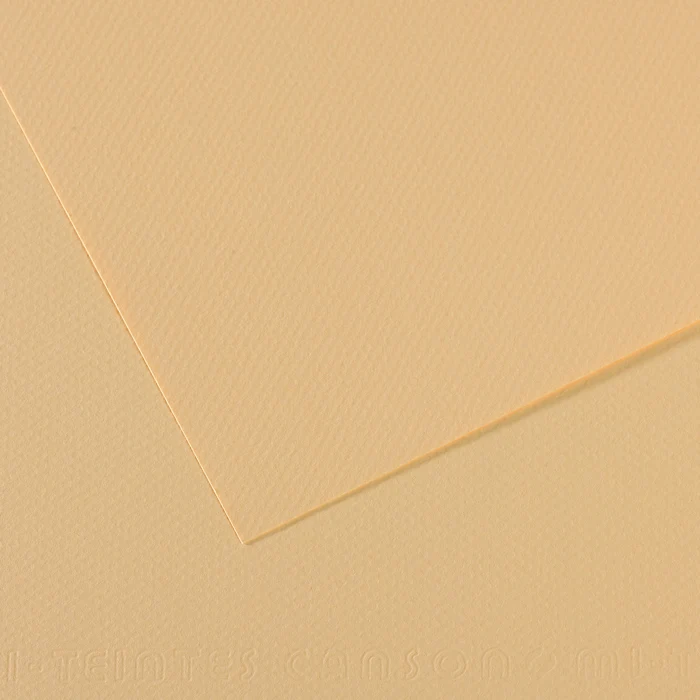 Canson Mi-Teintes papier na pastel A3 160 g 25 hárkov
