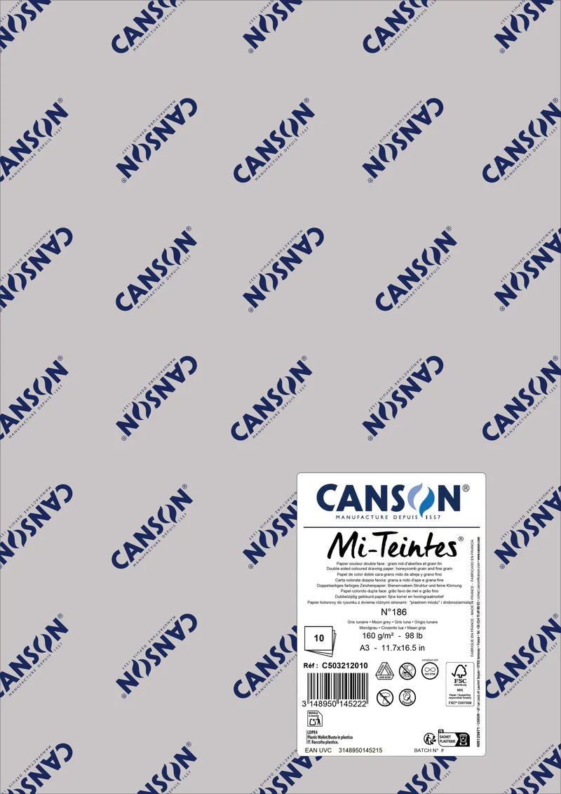 Papir za pastel Canson Mi-Teintes A3 160 g - 10 listova