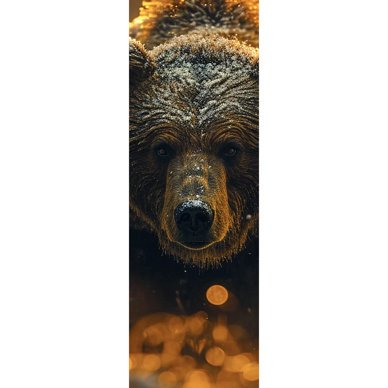 Aluminiumbild Kraftvoller Bär von Lichtreflexen umgeben Panorama Hoch