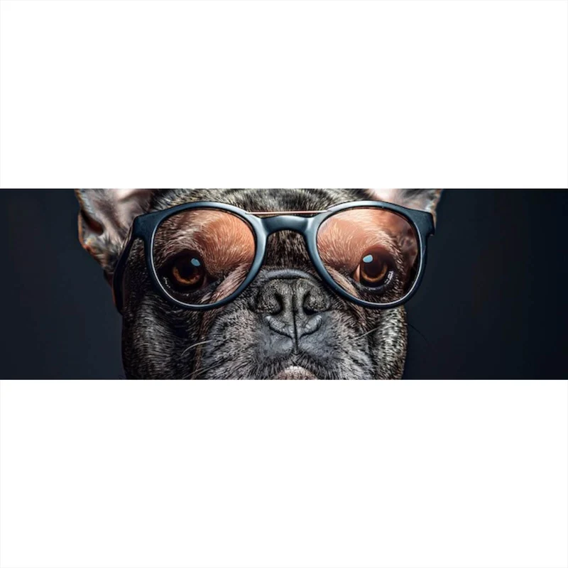 Acrylglasbild Coole Bulldogge mit Brille und Jacke Panorama