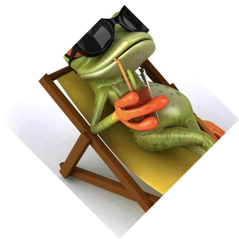 Leinwandbild Frosch entspannt auf Liegestuhl mit Getränk Raute