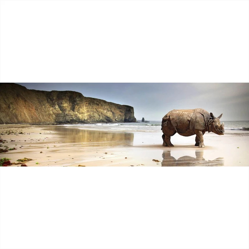 Leinwandbild Nashorn an der Küste Panorama