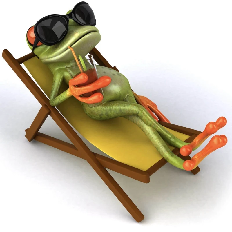 Aluminiumbild gebürstet Frosch entspannt auf Liegestuhl mit Getränk Quadrat