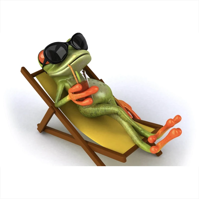 Spannrahmenbild Frosch entspannt auf Liegestuhl mit Getränk Querformat