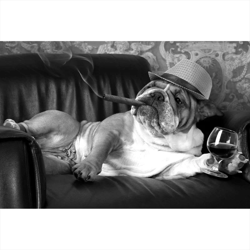 Acrylglasbild Bulldogge auf Ledersessel mit Zigarre und Hut Querformat