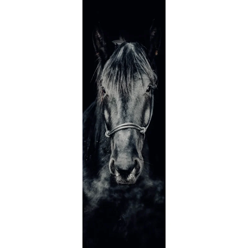 Poster Ausdrucksvolles Portrait eines schwarzen Pferdes Panorama Hoch