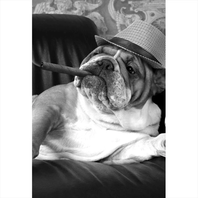 Aluminiumbild Bulldogge auf Ledersessel mit Zigarre und Hut Hochformat
